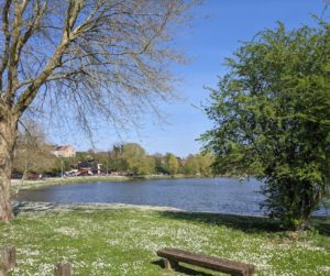 Quiz sur La Louvière et environs