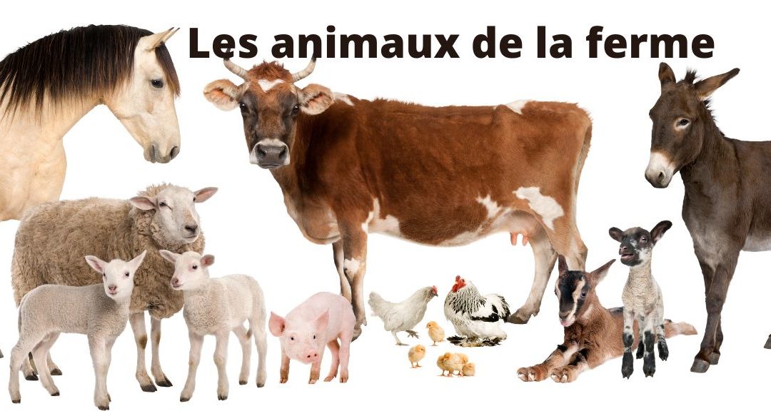 Quiz sur les animaux de la ferme