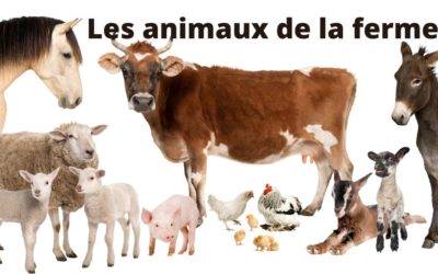 Quiz sur les animaux de la ferme