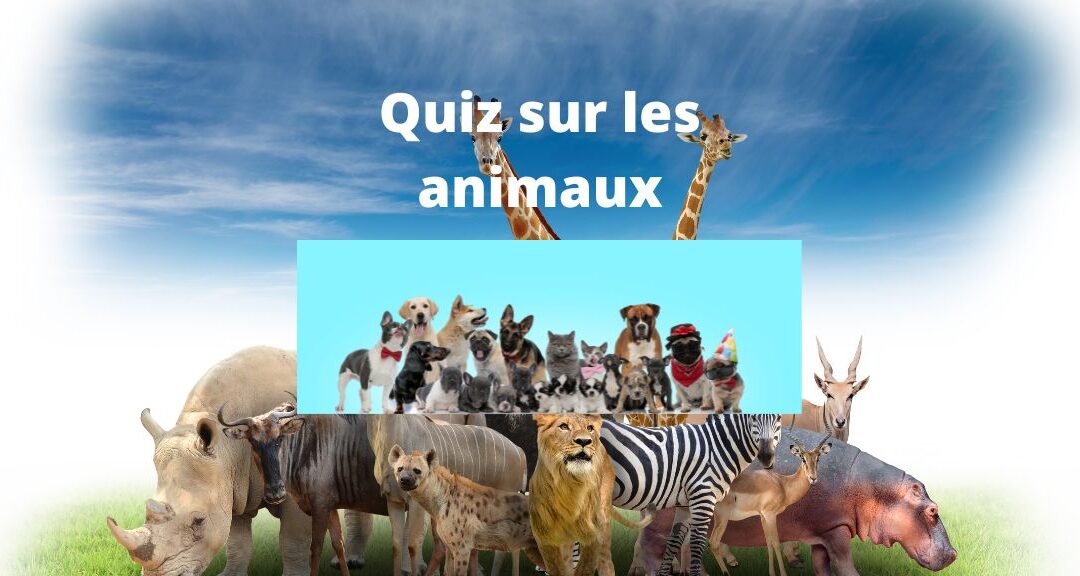 Quiz sur les animaux