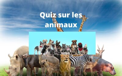 Quiz sur les animaux