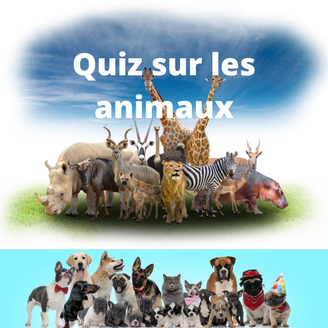 Quiz sur les animaux